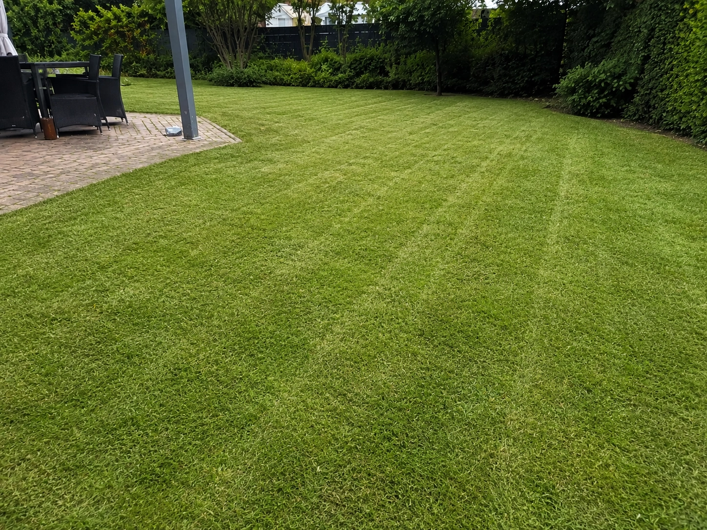 Gepflegter Garten nach der professionellen Gartenpflege